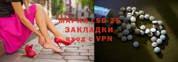 индика Лабытнанги