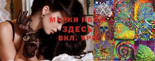 гидропоника Ладушкин