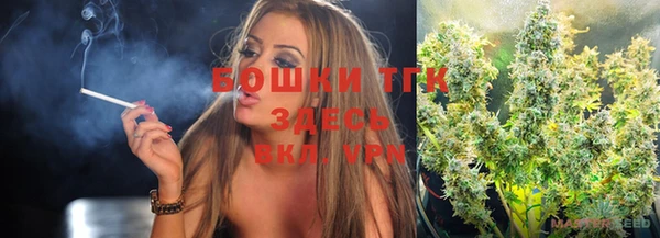 индика Лабытнанги