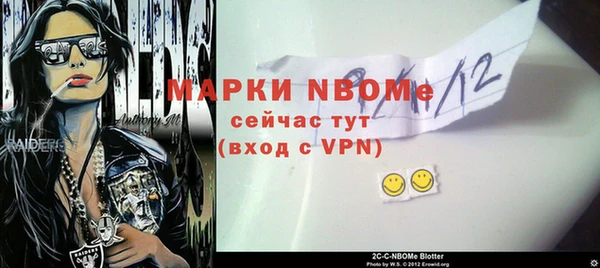 индика Лабытнанги