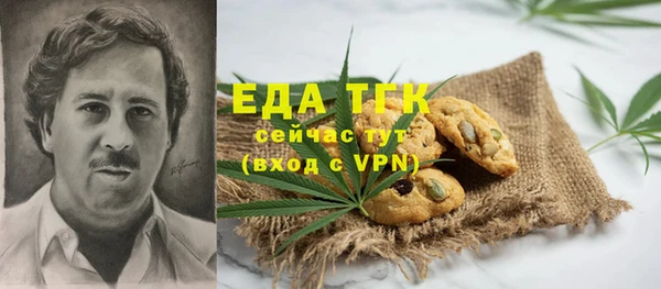 индика Лабытнанги