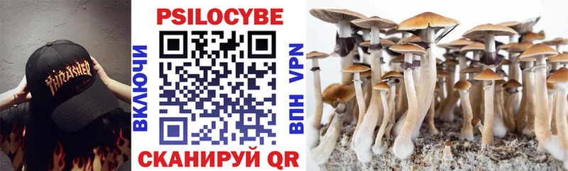 Галлюциногенные грибы прущие грибы Купить где Дальнегорск